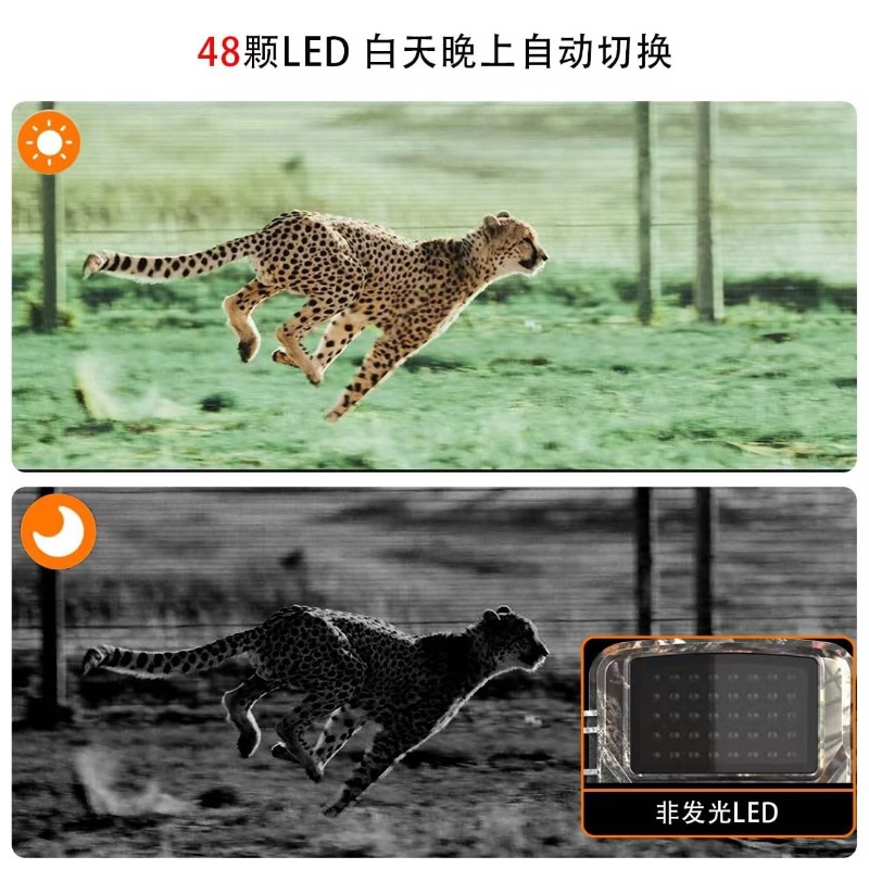 HOT SALE DL001 Hunting Camera  - Outdoor Sport Field recension och pris