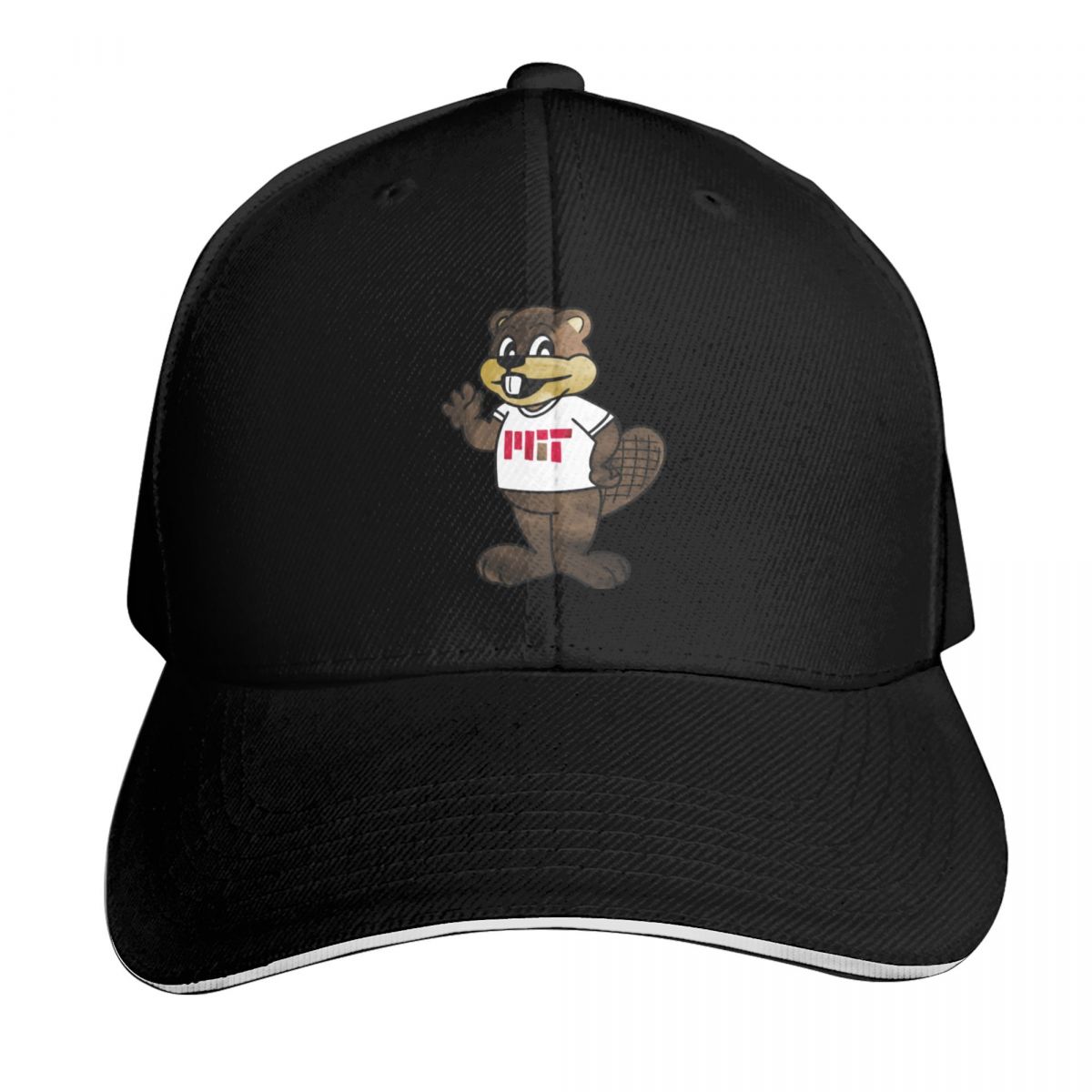 Tim the Beaver (Massachusetts  - Outdoor Sport Institute recension och pris